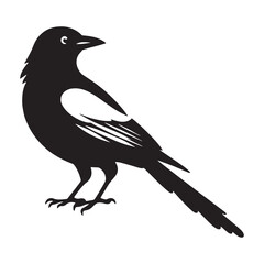 Fototapeta premium Elegant Feathered Magpie silhouette – Magpie illustration – Minimalist Magpie vector – Bird silhouette – Bird vector