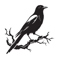 Dynamic Magpie silhouette flying high – Magpie illustration – Minimalist Magpie vector – Bird silhouette – Bird vector

