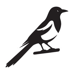 Sleek Magpie silhouette with elegant form – Magpie illustration – Minimalist Magpie vector – Bird silhouette – Bird vector

