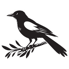 Fototapeta premium Black and White Magpie silhouette – Magpie illustration – Minimalist Magpie vector – Bird silhouette – Bird vector