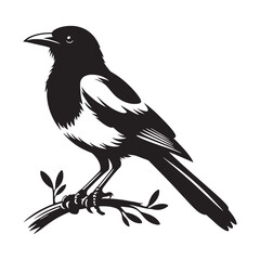 Bold Magpie silhouette perched calmly – Magpie illustration – Minimalist Magpie vector – Bird silhouette – Bird vector

