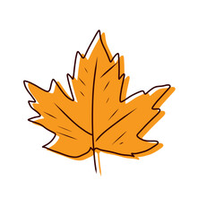 autumn maple leaf vector tyle color and line outline 