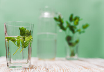 A glass with fresh mint leaves water on a table on a green background with copy space. Health benefits of peppermint water  concept.