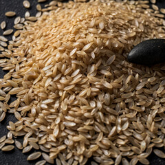 Obraz premium sunflower seeds background