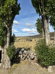 Stacked Firewood Ready for Winter at a Traditional Estancia in the Patagonian Steppe – Argentina