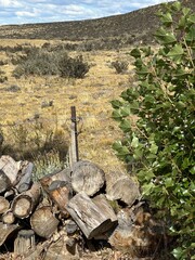 Stacked Firewood Ready for Winter at a Traditional Estancia in the Patagonian Steppe – Argentina