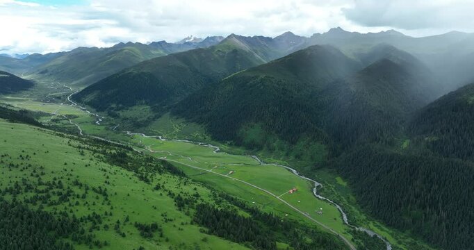 Aerial footage of beautiful high altitude forest grassland mountain landscape