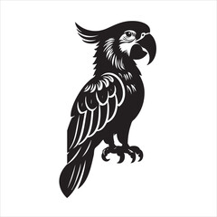 Fototapeta premium Bird Silhouette vector art illustration. black bird vector design.