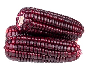 Three dark purple corn ears, close-up, isolated on white
