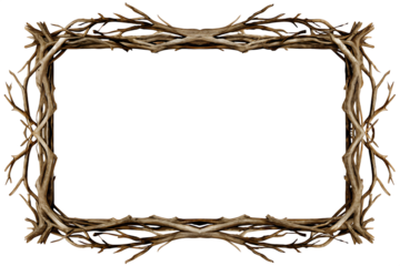 Root Border Frame isolated on white background PNG 