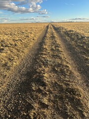 dirt road in the patagonic field