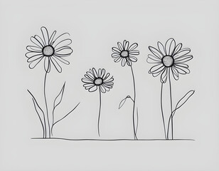 Daisy flowers  simple hand drawing line art style white background