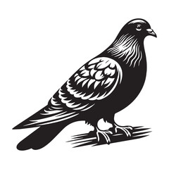 Balanced Pigeon silhouette with grace – Pigeon illustration – Minimalist Pigeon vector – Bird silhouette – Bird vector

