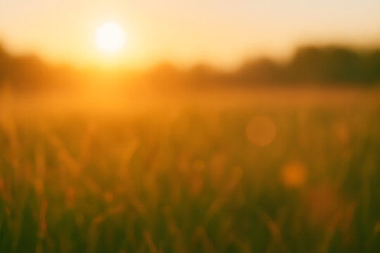 Golden hour image with blurred grass and glowing warm light, evoking calmness and summer nostalgia in nature..