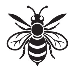 bee vector Illustration