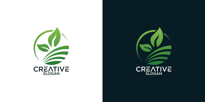 leaf logo design vector	