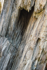 An unusual cleft in the rocks in Ireland