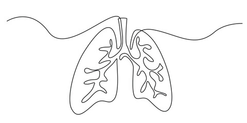 continuous line drawing of lungs.single line drawing of lungs human respiratory organ.line art vector illustration