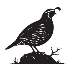 Bush Dweller Quail silhouette – Quail illustration – Minimalist Quail vector – Bird silhouette

