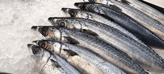 Fresh fish in the fresh market on ice. fish caught from fishing.