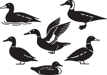 Duck Silhouettes Vector Pack Waterfowl Bird Clipart Set Black & White Pond & Flying Duck Illustrations