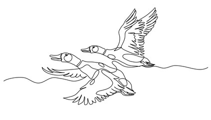 Continuous Line Art of Two Mallard Duck Flying – Minimalist Vector Illustration for Migration Themes, Educational Materials, Nature Decor, Farm Posters, and Wildlife Designs
