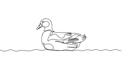 Mallard Duck Line Art Set – Anas platyrhynchos Ducklings and Adults Swimming – Minimalist Vector Illustration for Educational Materials, Nature Decor, Farm Posters, and Wildlife Design