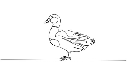 Mallard Duck Line Art Set. Anas platyrhynchos Ducklings Continuous lineart  Minimalist Vector of Wild Birds, For farming, Business, animal