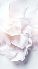 Seamless Pattern Delicate white flower petals on a soft background.
