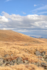Golden Alpine Tundra Under Cloud-Filled Sky