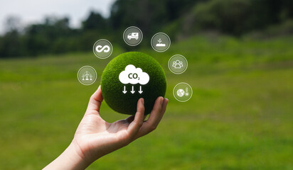 Hand Holding Green Sphere with Environmental Icons for Sustainability