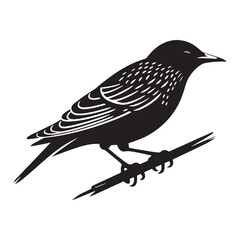Singing Starling silhouette in profile view – Starling illustration – Minimalist Starling vector – Bird silhouette

