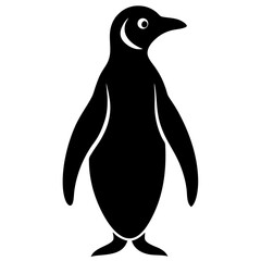 penguin vector illustration white background