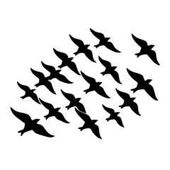 birds in flight white background