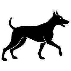 dog animal white background