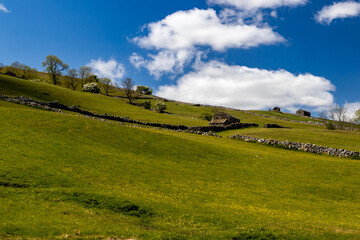 Old stone built barns in buttercup meadow