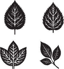 Black and White Detailed Leaf Illustrations with Serrated Edges
