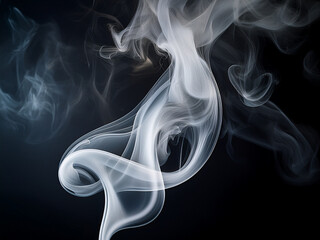 Elegant, swirling tendrils of white smoke rise against a dark, moody background. The soft, ethereal curves create an abstract, flowing pattern with a sense of motion and mystery.