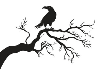 Silhouette raven perched on a bare branch