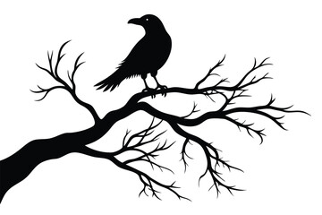 Silhouette of a crow perched on a bare branch