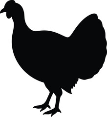 Black silhouette of a domestic turkey bird