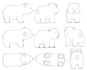 The image is a series of drawings of Panda in different poses. The Panda are all white and have no fur. The drawings are all in black and white, and they are all lined up next to each other