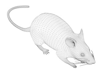 A Rat is laying on the ground. The mouse is small and has a long tail. The mouse is white in color. Isometric view. 3D