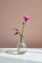 Zen-inspired single pink flower in clear glass vase minimalist home decor calm environment modern aesthetic