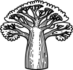 Fototapeta premium illustrated baobab tree with detailed branches and bark in black and white line art