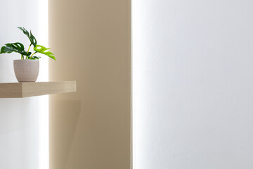 Decorate the living room with a Monstera plant pot