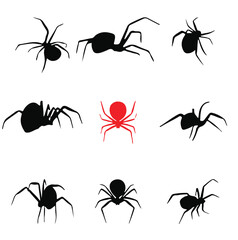 spider group vector design