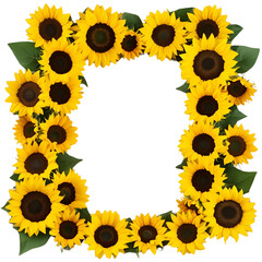 Colorful Floral Frame with a Simple Unique Touch
