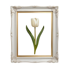 Colorful Floral Frame with a Simple Unique Touch
