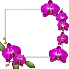 Colorful Floral Frame with a Simple Unique Touch
